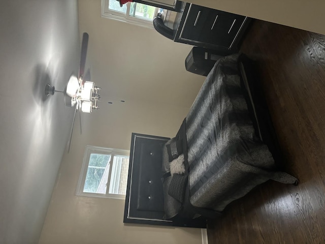 bedroom with multiple windows