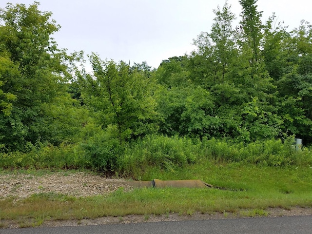 Listing photo 3 for LOT7 Orchard Bluff Ln, Wadsworth IL 60083