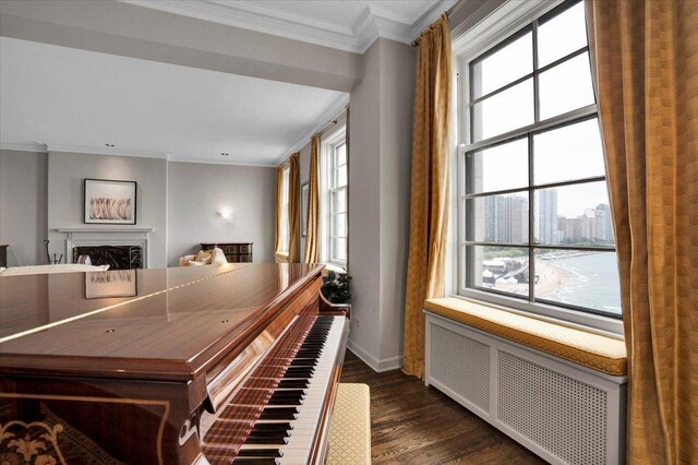 recreation room featuring dark hardwood / wood-style flooring, a wealth of natural light, and radiator