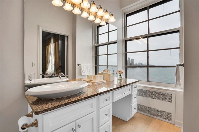 bathroom featuring plenty of natural light, vanity, radiator, and hardwood / wood-style flooring