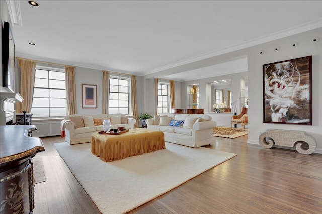 living room featuring crown molding and dark wood-type flooring