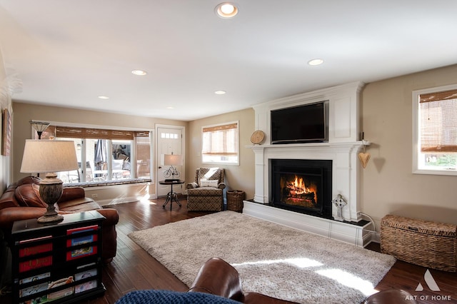 living room featuring a fireplace and dark hardwood / wood-style floors