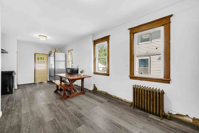 interior space featuring dark wood-type flooring, a wealth of natural light, and radiator