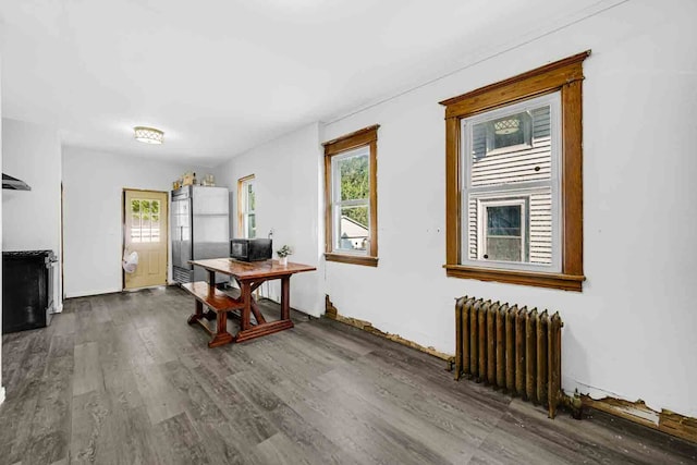 interior space featuring radiator heating unit, dark wood-type flooring, and a wealth of natural light