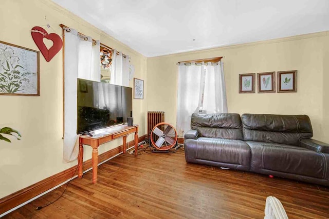 living room featuring crown molding, radiator, and wood-type flooring