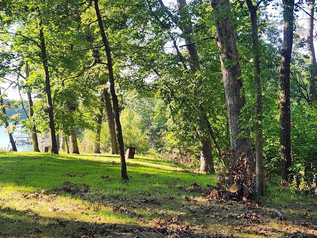 Listing photo 3 for LOT270 Elm Tree Dr, Varna IL 61375