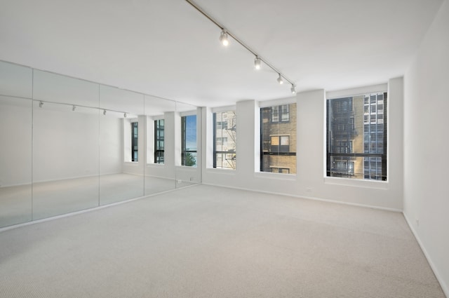 interior space featuring track lighting, a closet, and light carpet