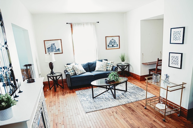 living room with hardwood / wood-style floors