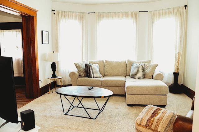 living room featuring plenty of natural light and light hardwood / wood-style floors