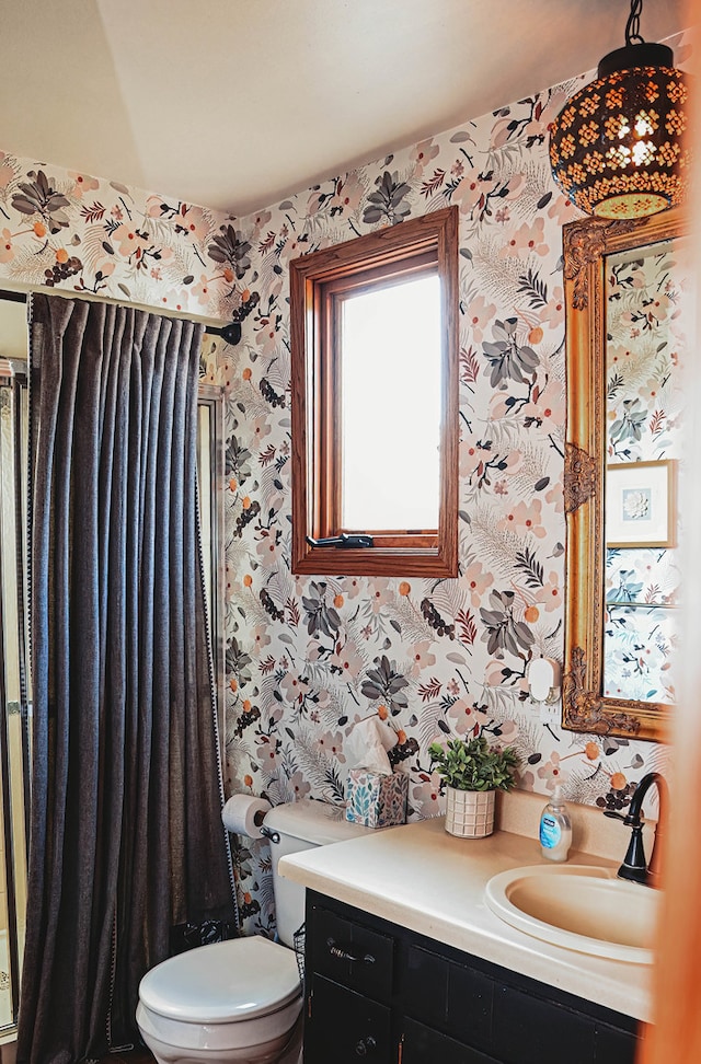 bathroom with toilet and vanity