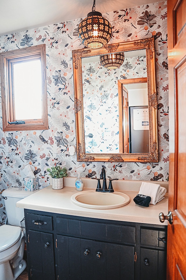 bathroom with toilet and vanity