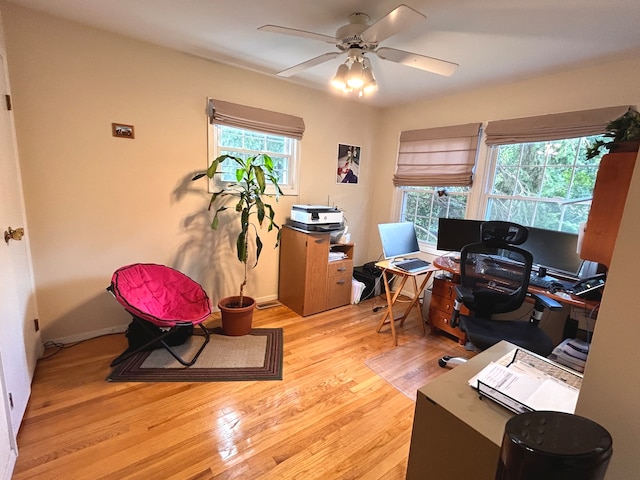 office space with light hardwood / wood-style flooring, ceiling fan, and plenty of natural light