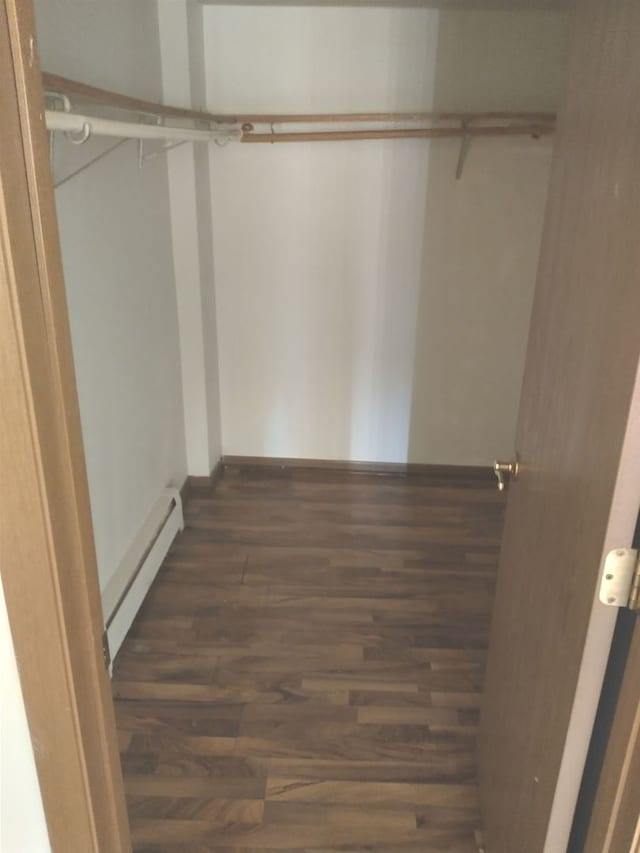 walk in closet with a baseboard heating unit and dark wood-type flooring