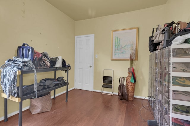 bedroom featuring dark wood-type flooring