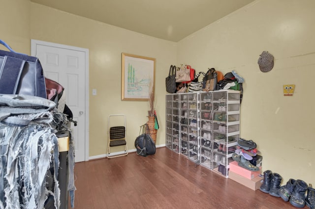 interior space featuring dark hardwood / wood-style flooring