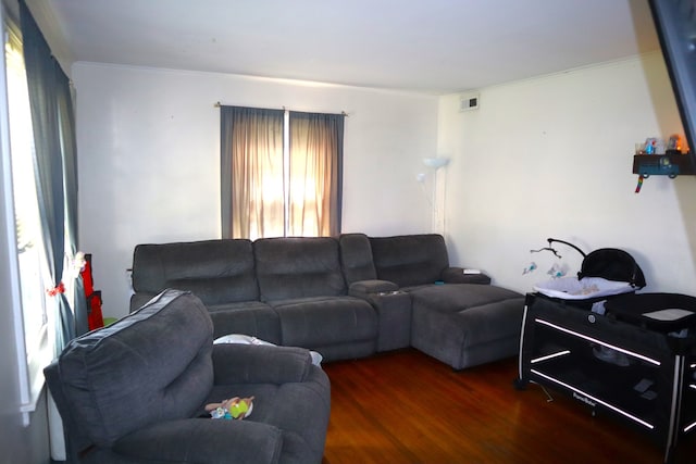 living room with hardwood / wood-style flooring