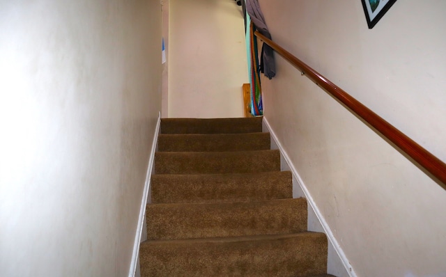 staircase with carpet