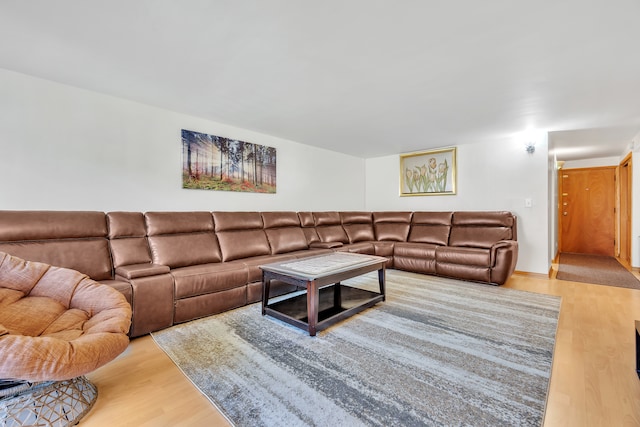 living room featuring light wood-type flooring