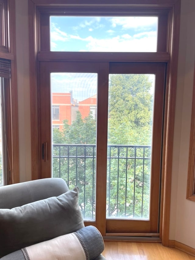 doorway to outside featuring light hardwood / wood-style flooring and plenty of natural light