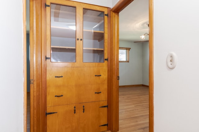 room details featuring wood-type flooring