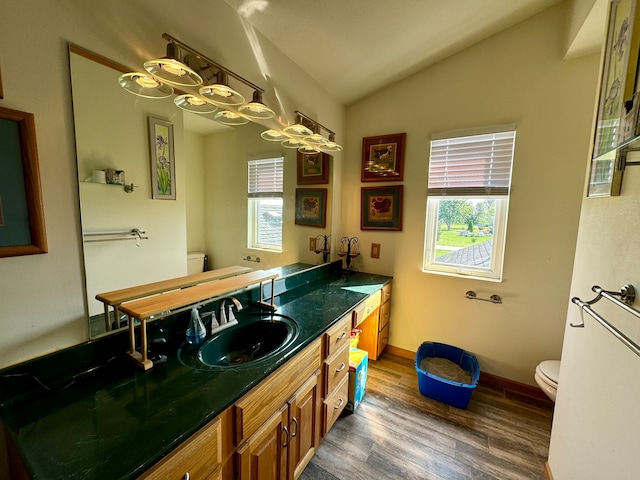 bathroom with vanity, lofted ceiling, wood-type flooring, and toilet