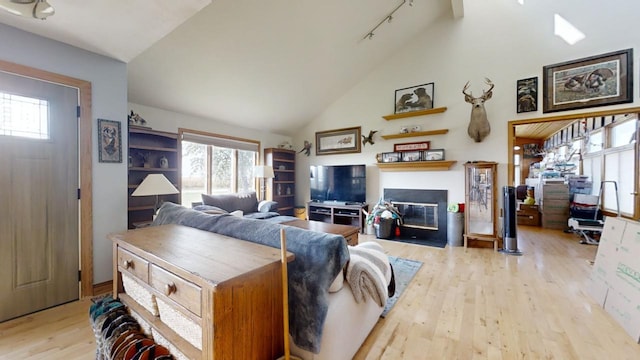 living room featuring high vaulted ceiling and light hardwood / wood-style floors