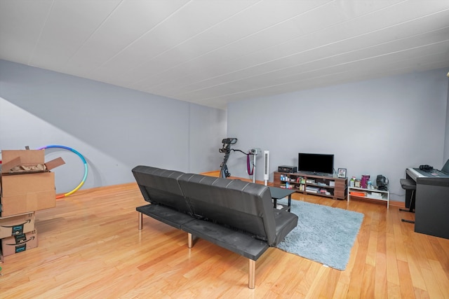 living room with wood-type flooring