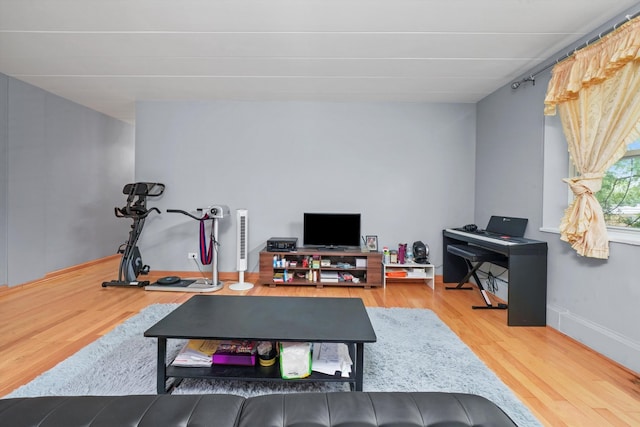 living room with hardwood / wood-style flooring