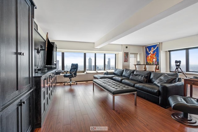 living area with dark wood finished floors, beamed ceiling, and plenty of natural light