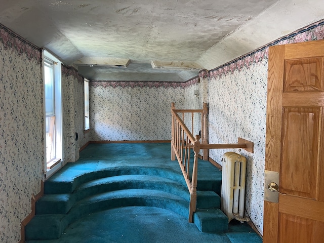 miscellaneous room featuring vaulted ceiling and radiator heating unit