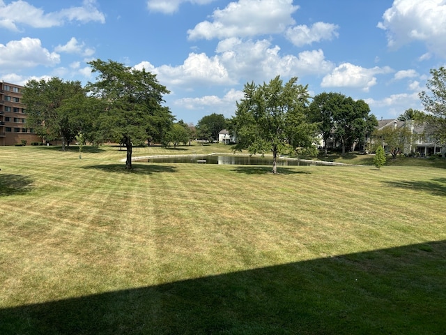 view of yard featuring a water view