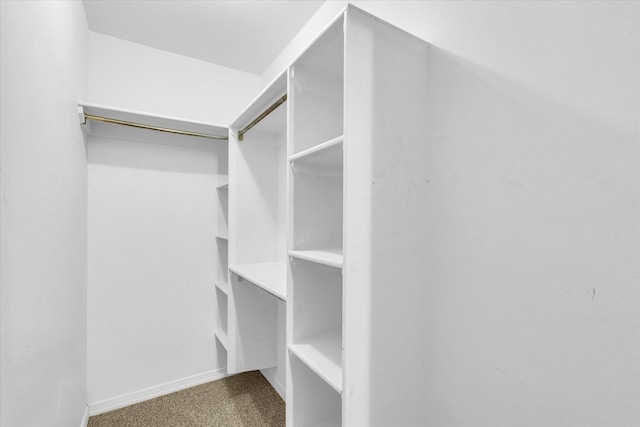 spacious closet with carpet flooring