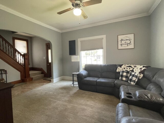 living room featuring ceiling fan, carpet flooring, and crown molding