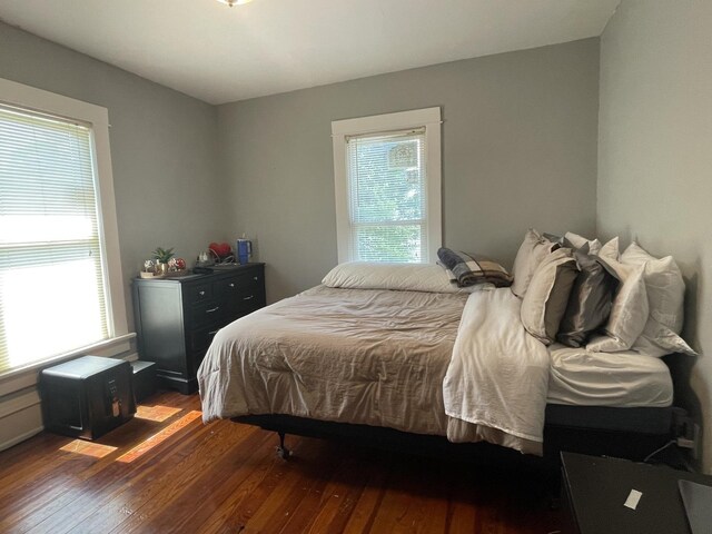 bedroom featuring dark hardwood / wood-style flooring and multiple windows