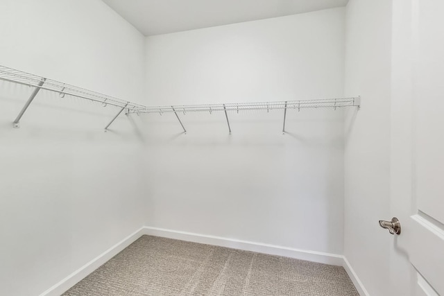 spacious closet with carpet