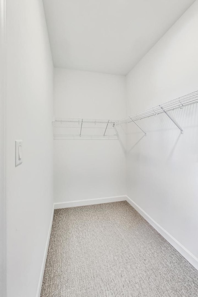 walk in closet with carpet