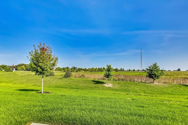 view of yard with a rural view