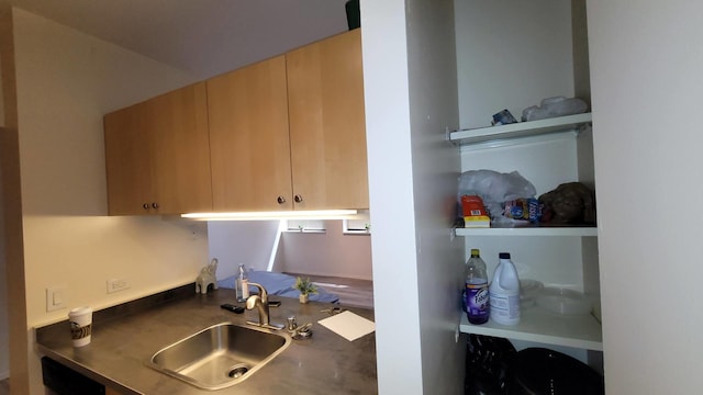 kitchen with light brown cabinetry and sink