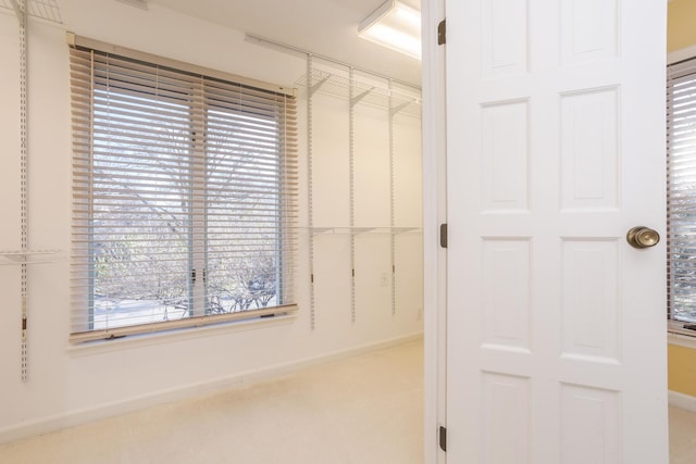 spacious closet with carpet floors