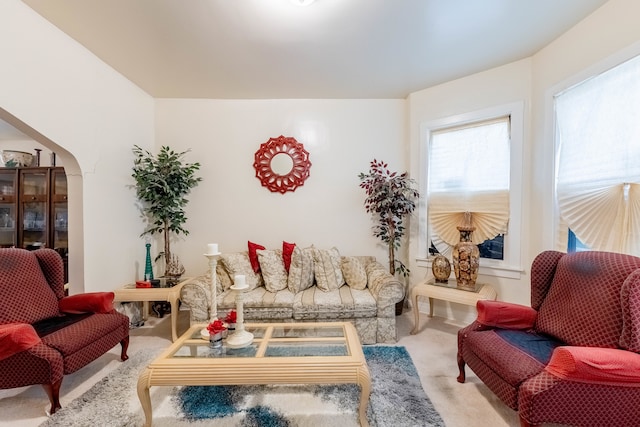 living room featuring carpet