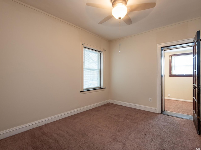 spare room featuring ornamental molding, ceiling fan, and carpet