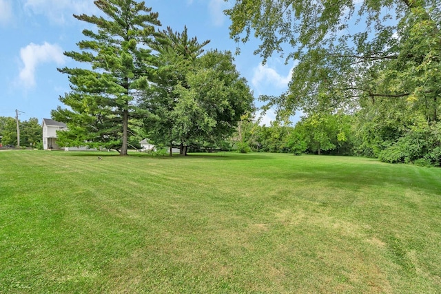 view of yard