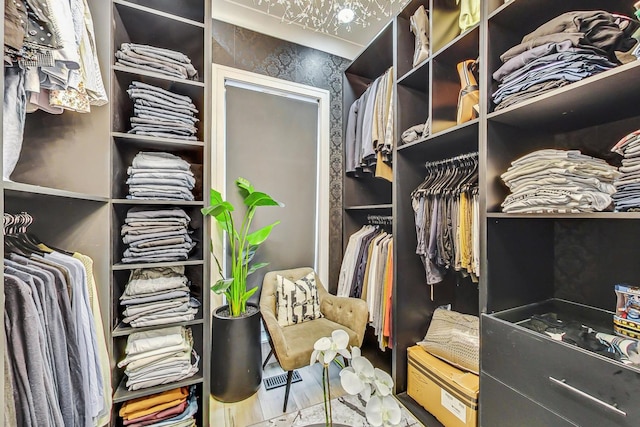 walk in closet with wood-type flooring