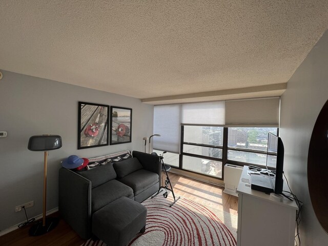 living room featuring a textured ceiling and light hardwood / wood-style flooring