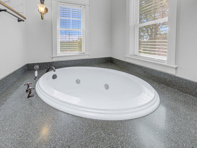 bathroom featuring a healthy amount of sunlight and a washtub