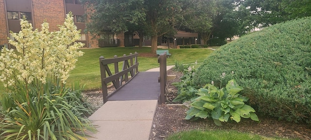 view of property's community featuring a lawn