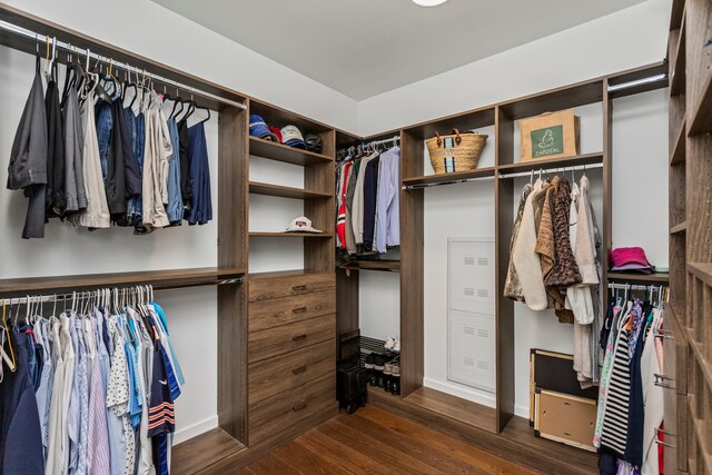 walk in closet with dark hardwood / wood-style flooring