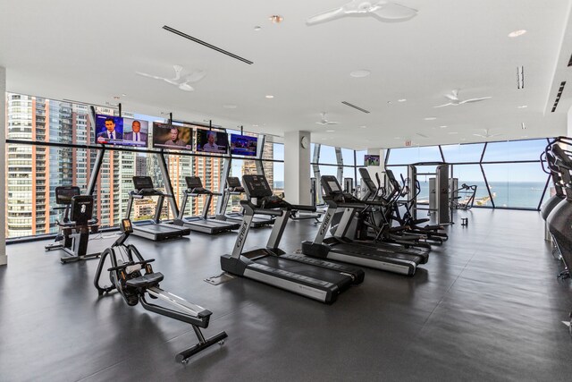 workout area featuring plenty of natural light and expansive windows