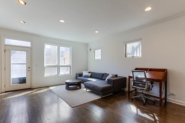 living room featuring crown molding and dark hardwood / wood-style flooring