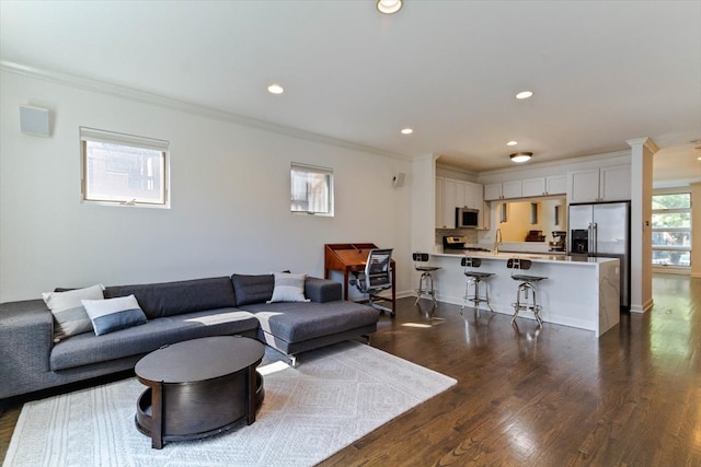 living room featuring sink, dark hardwood / wood-style flooring, and ornamental molding